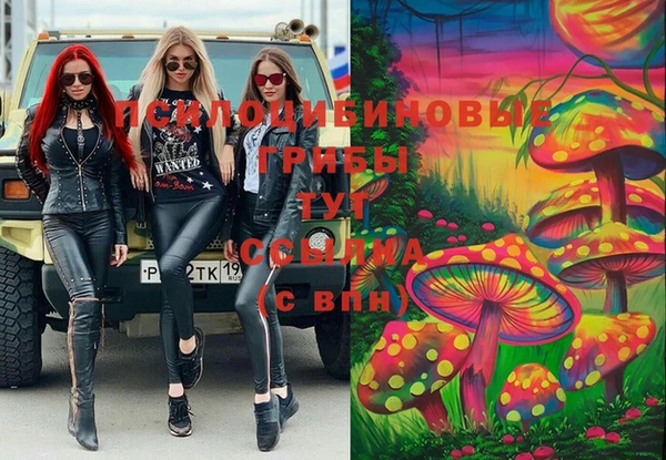 первитин Балахна