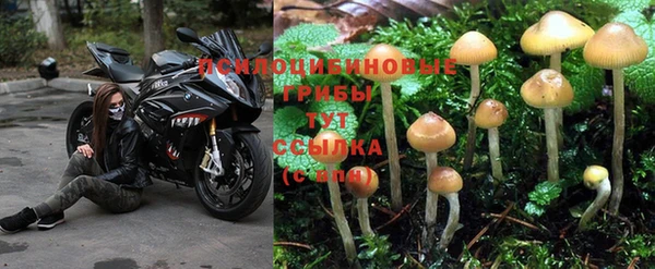 стафф Балабаново