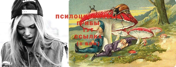 спайс Баксан
