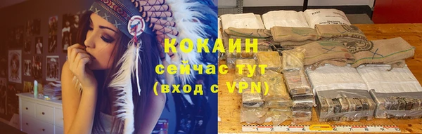 спайс Баксан