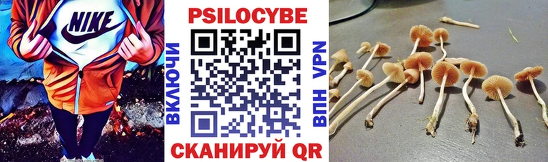 Псилоцибиновые грибы мицелий  Купить где  Судогда 