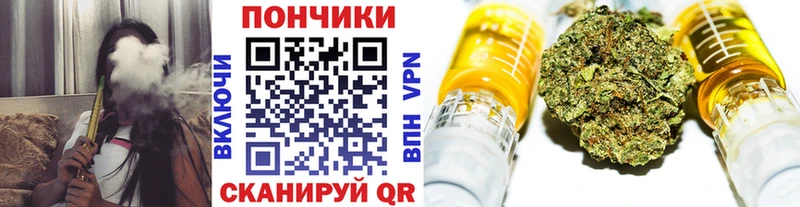 Конопля индика  Купить закладки  Судогда 